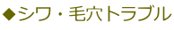◆シワ・毛穴トラブル