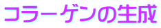 コラーゲンの生成